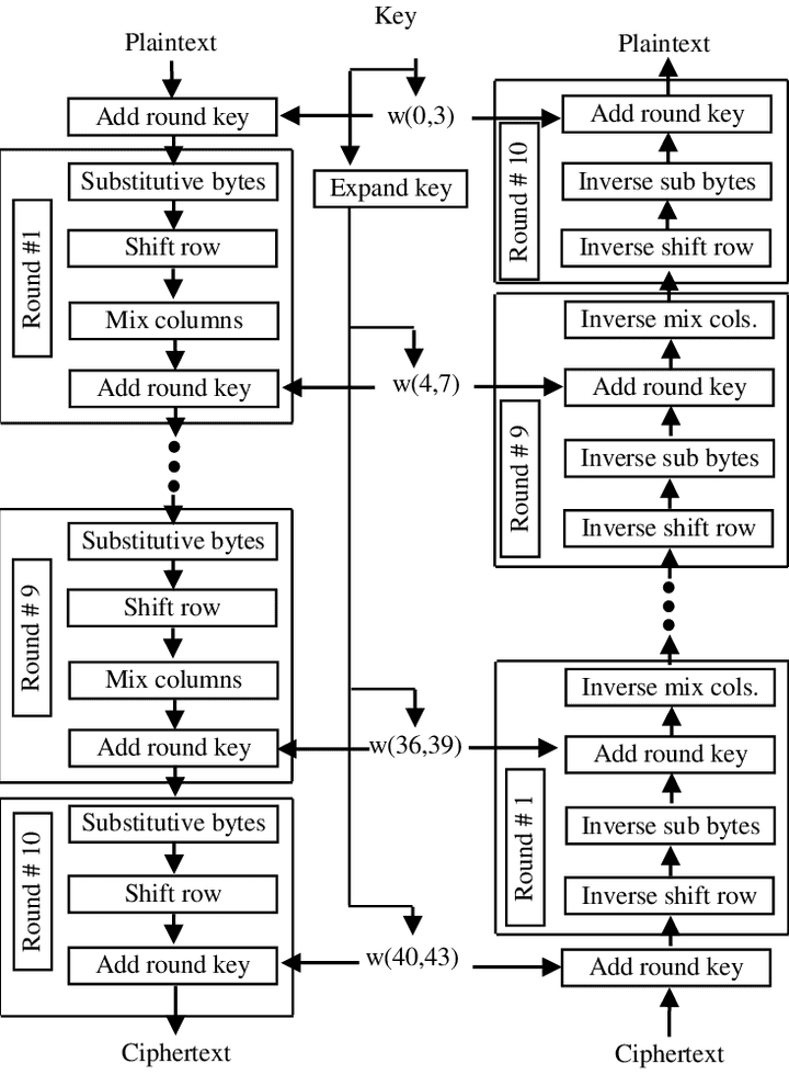 aes-cycle